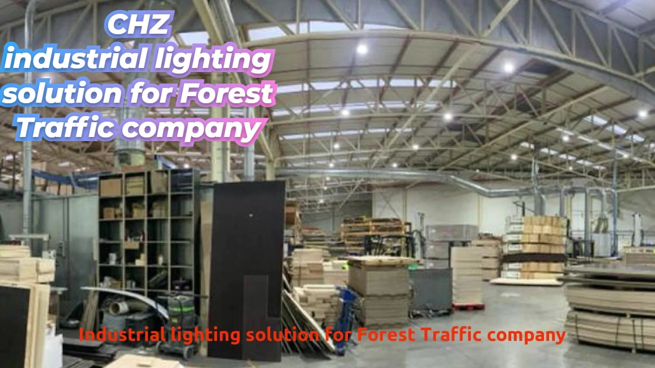 إضاءة صناعية احترافية لشركة Forest Traffic - Chz مصنعي الإضاءة