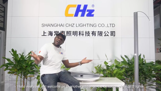 مصابيح الشوارع بالطاقة الشمسية احترافية عالية الجودة ضمان 3 سنوات مصنعي بالجملة CHZ-IST9
