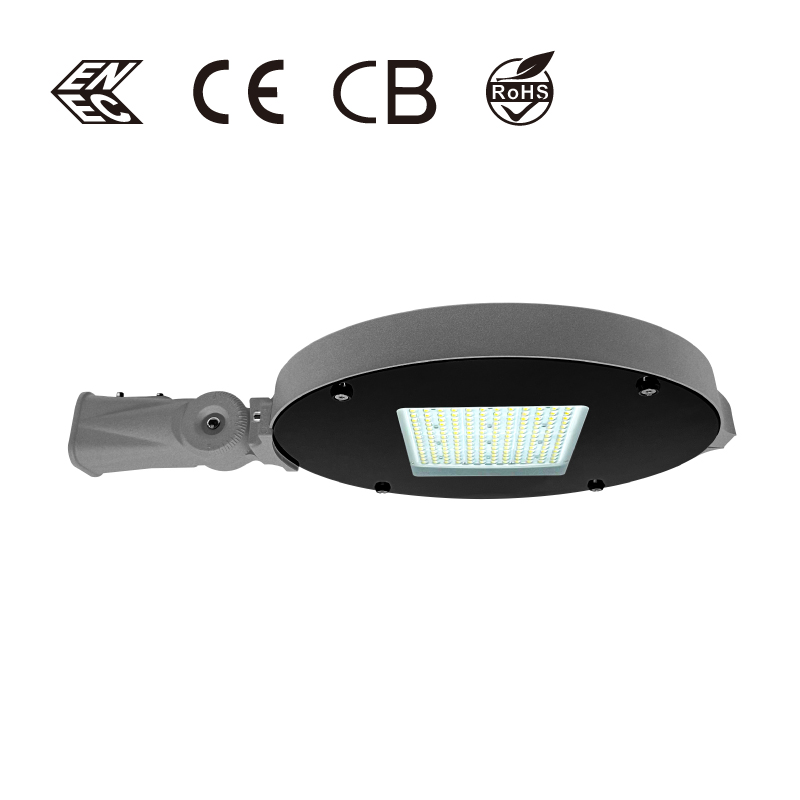 مصباح حديقة LED CHZ-GD29C إضاءة حديقة خارجية IP66